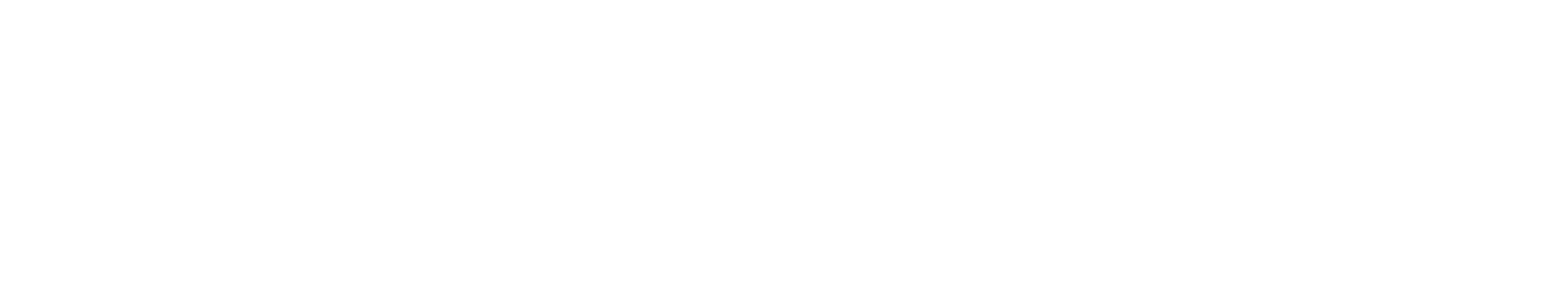 LA RUCHE DES SOINS